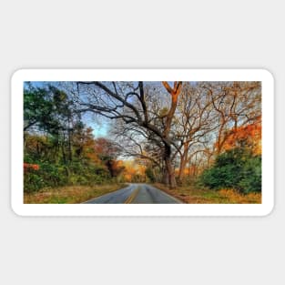 Hairy Man Road - Brushy Creek- Round Rock, Texas Sticker